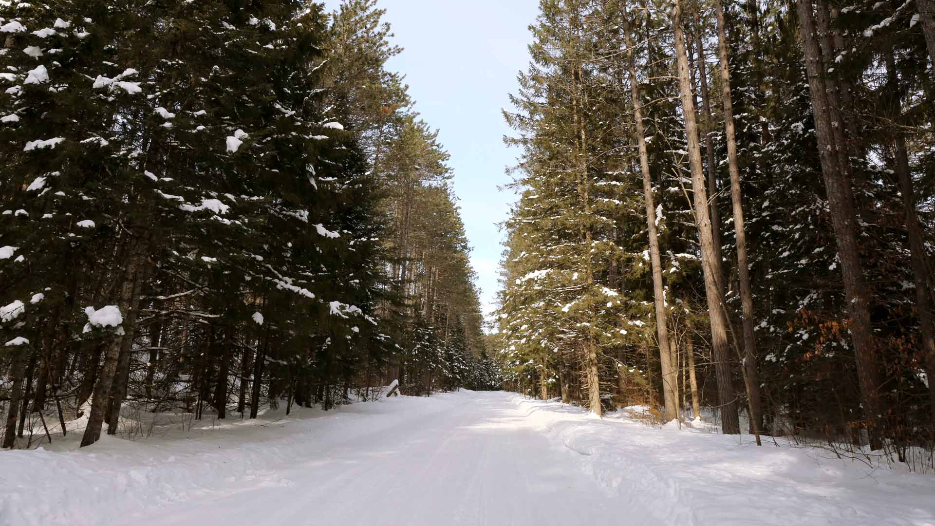 snowy Phelps road in Vilas County, WI