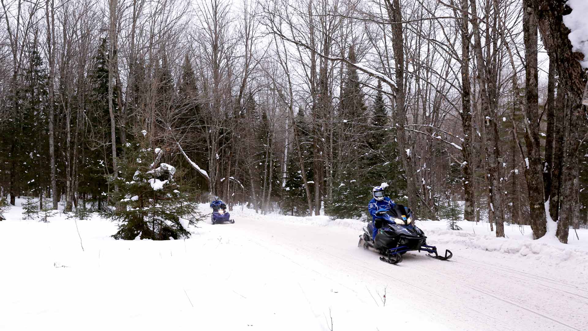 Snowmobiling on Sno-bunnies-trails in Vilas County, WI