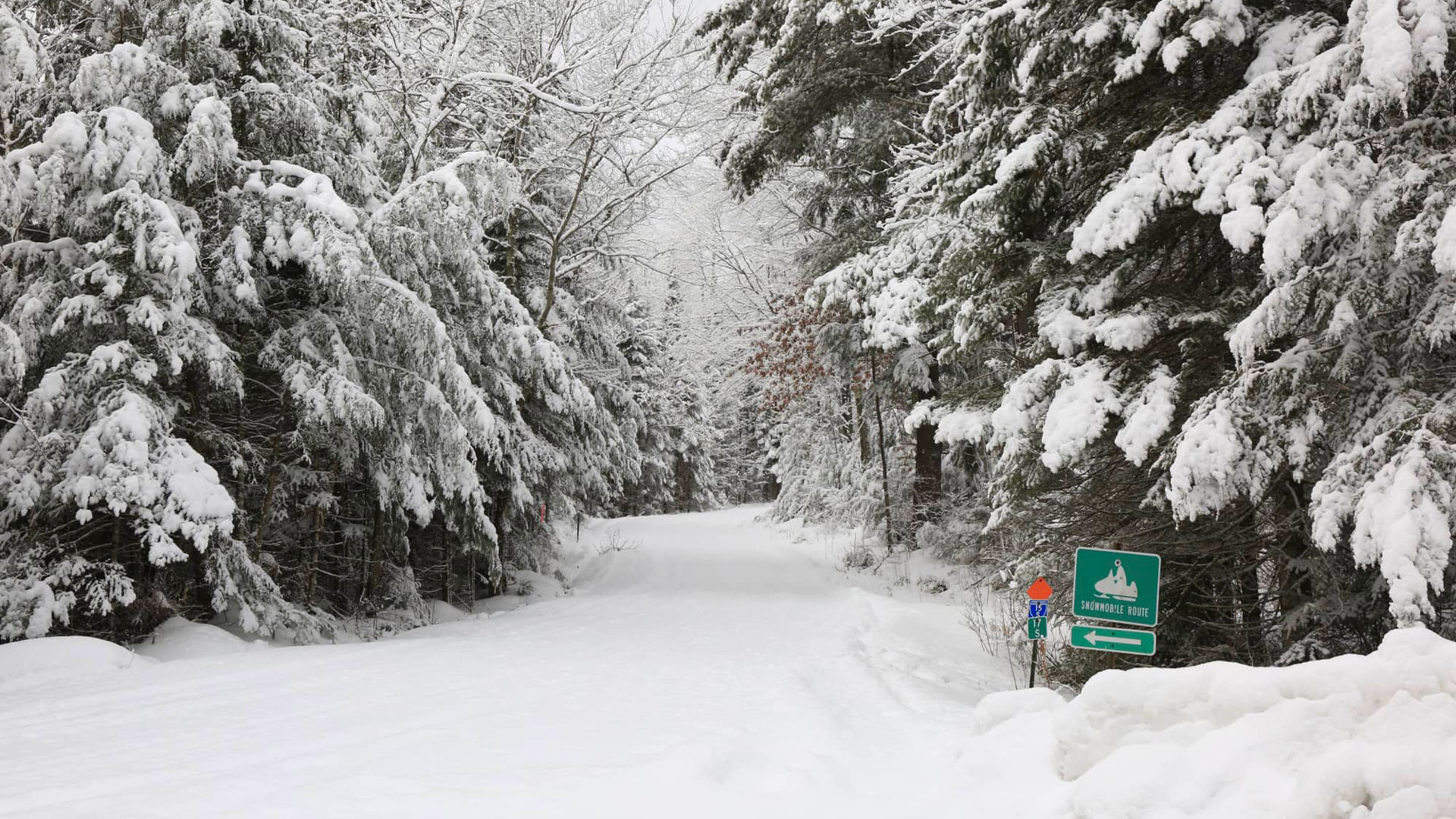 Snow-covered trees along the Enterprise Trail in Oneida County in northern Wisconsin