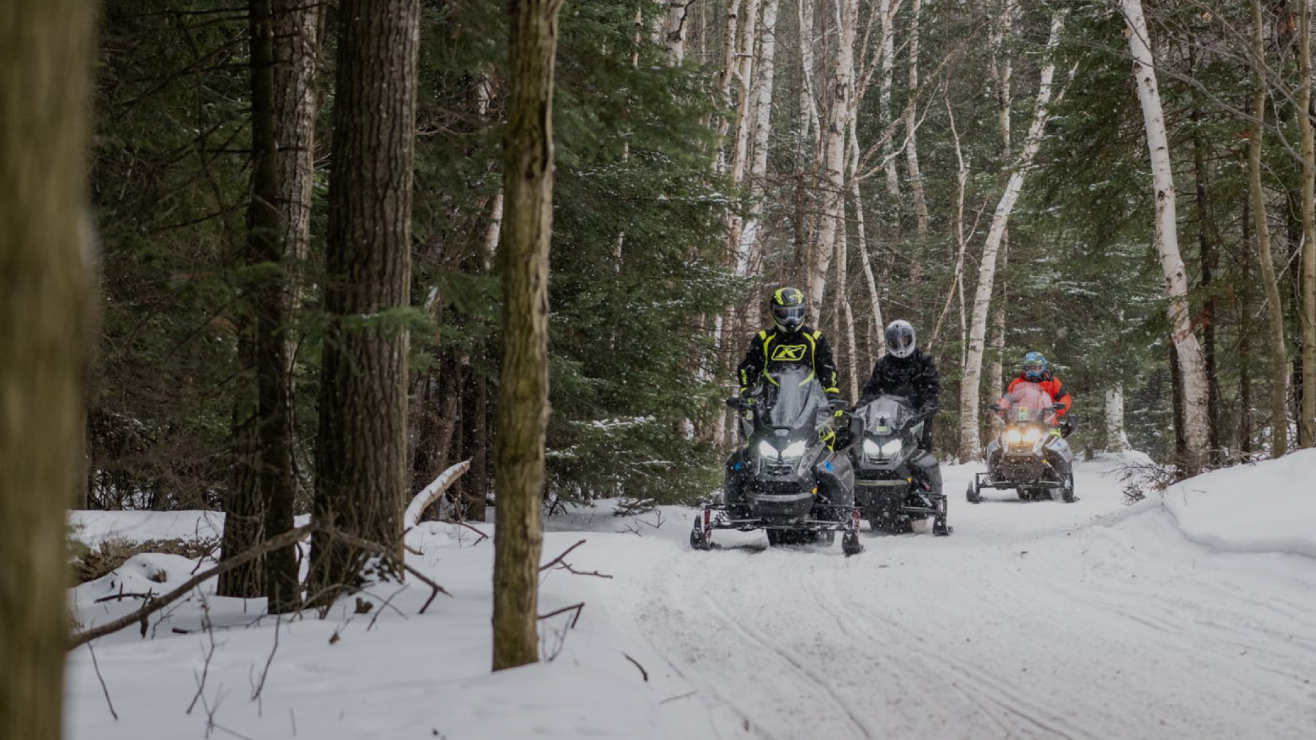 Group of snowmobilers riding up a trail through the trees
